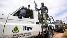 Zimbabwe to cull 50 elephants, distribute meat to locals