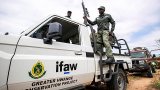Zimbabwe to cull 50 elephants, distribute meat to locals