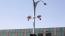284 Bulawayo motorists wanted for crossing red robots