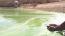 Lake Chivero water crisis deepens, cancer risk soars