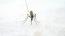 Deadly malaria outbreak hits Zimbabwe