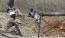3 killed in mine shaft collapse