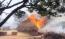 Girl (12) rescues 3 minors from burning house