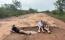 Victoria Falls: A world wonder at risk as Bulawayo-Victoria Falls road crumbles