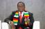 MMA star shreds Mnangagwa, blames 'scarf' for 28 seconds defeat
