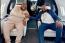 Chivayo spoils childhood friend with weekend cars