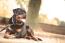 Bulawayo enforces citywide dog tie-up order to curb stray attacks