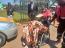 Chiwenga's ex-wife loses Pretoria property and luxury cars