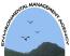 EMA orders halt of cement plant over violations