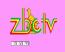 Veteran ZBC broadcaster dies